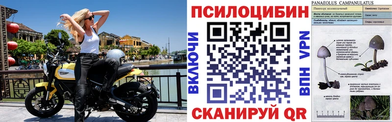 Псилоцибиновые грибы ЛСД  мориарти состав  Кирс 